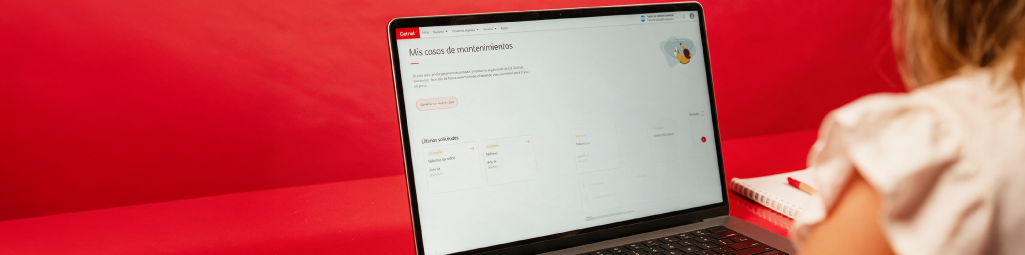 Mantenimientos