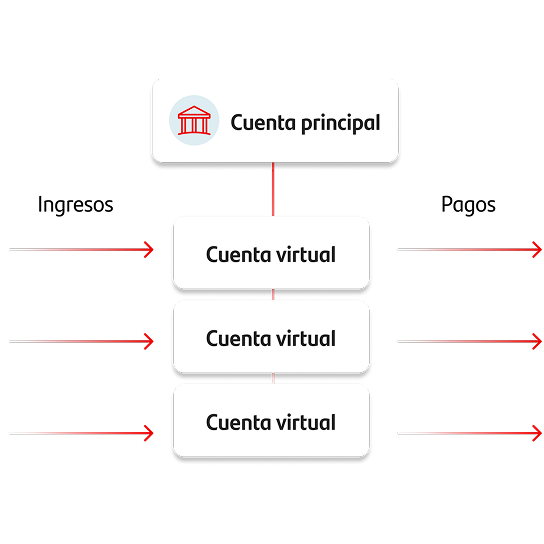 Cuenta principal