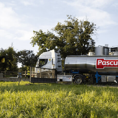 A transformative solution Pascual